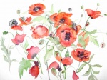 Flower paintings in watercolour